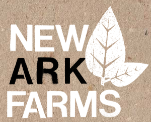 It’ll take More Than An Apple to Fix Newark’s Food Economy
