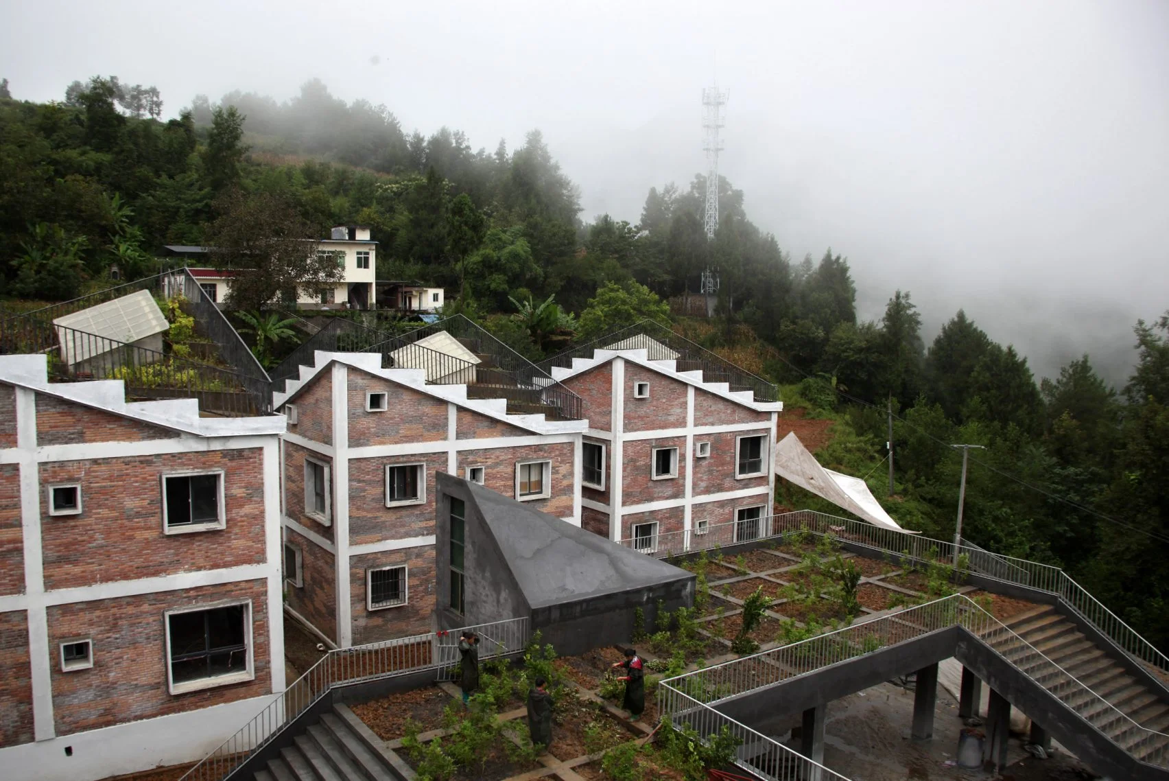 The Chinese Houses With Rooftop FARMS
