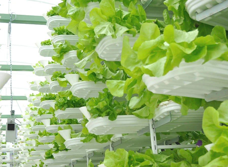 Both sides of the debate argue that their methods of organic farming have an increasingly important role to play in protecting the climate and building sustainability. Credit: Valcenteau/CC-BY-SA-2.0