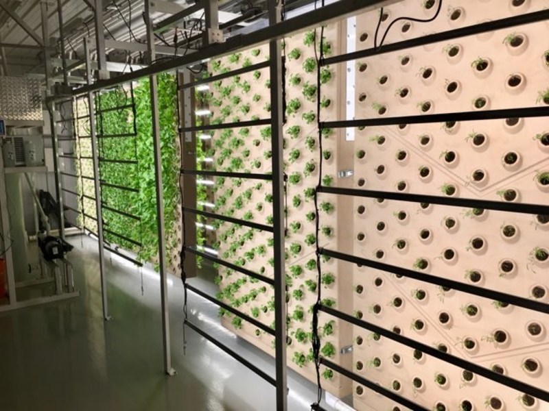 nside the world's first solar powered vertical aeroponic farm