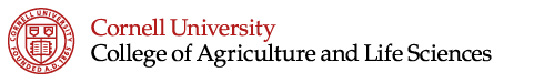 Cornell Group Explores Future of Indoor Farming