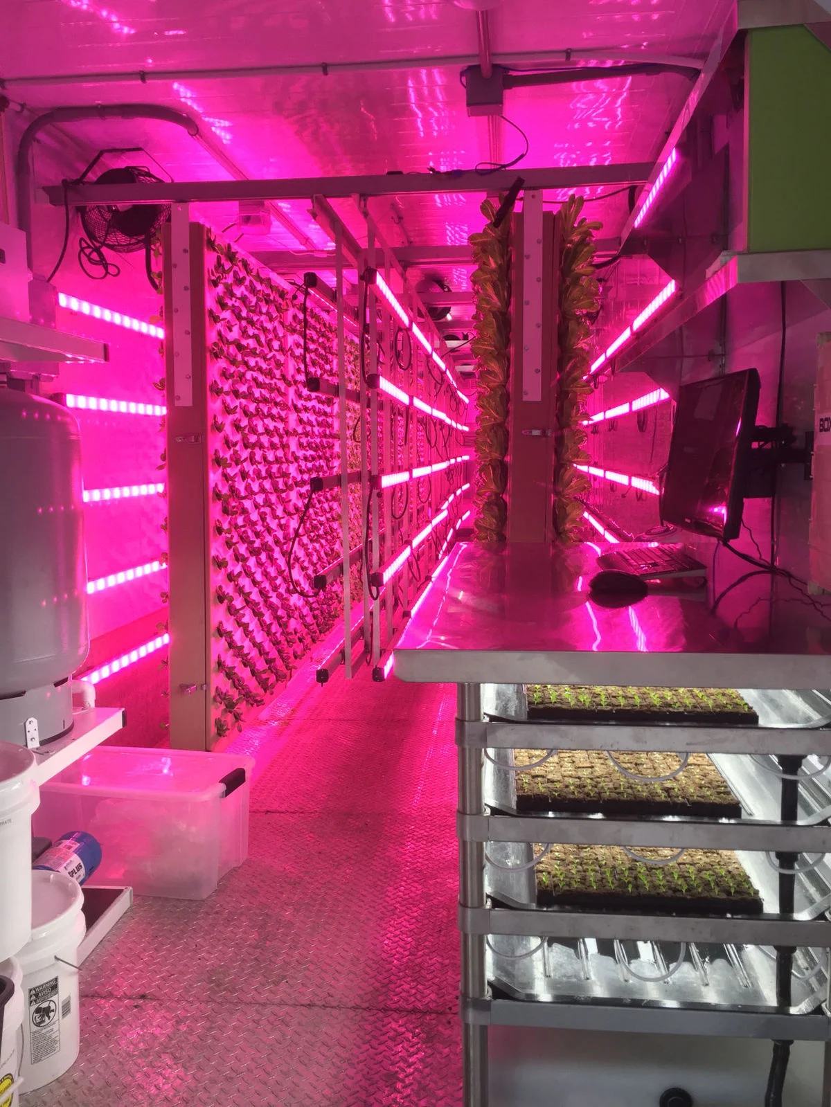 A nutrient solution is misted over the roots of lettuce plants every 10 minutes inside shipping containers in Summerville. Tony Bertauski/Provided | Tony Bertauski