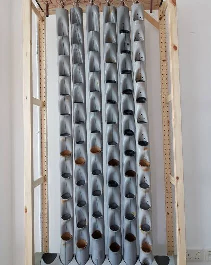 2313911200.jpg