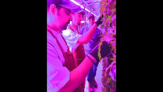 dockerys_COLOR_6inW_Dockerys farm2.jpg