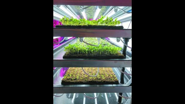 dockerys_COLOR_6inW_Dockerys farm3.jpg