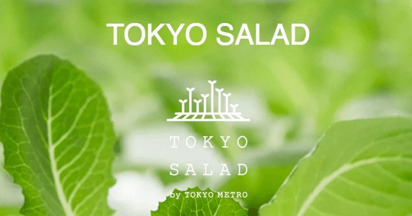 Tokyo Rail Operator Explores 'Train To Table' Urban Farming
