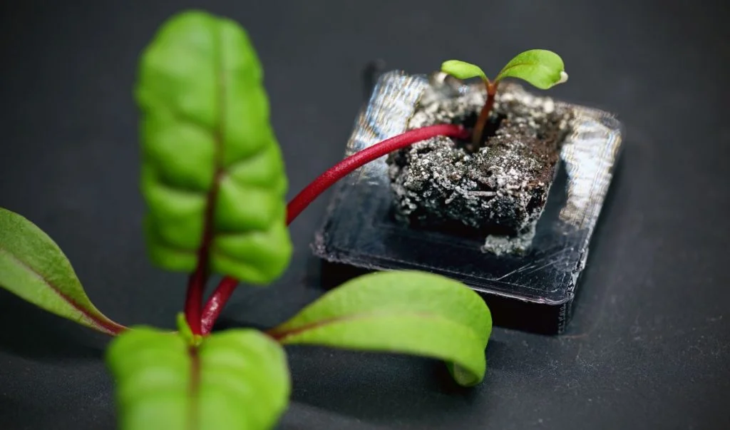 A 3D printed Farmshelf prototype plant pod. Photo via Ultimaker