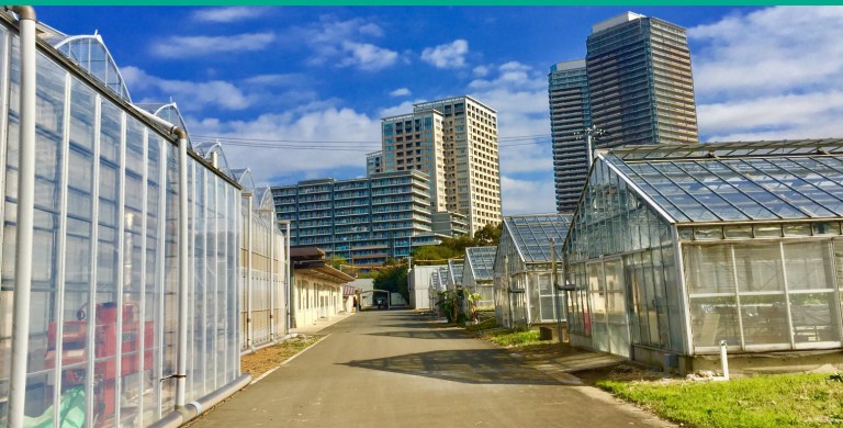 View of JPFA and neighboring city skyline