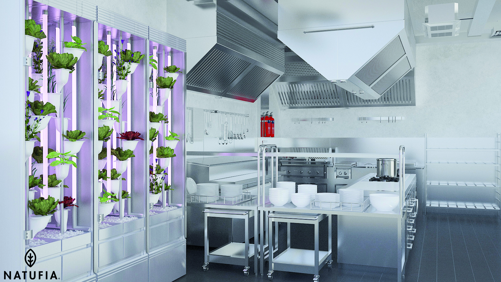Natufia Restaurant 2 CMYK.jpg