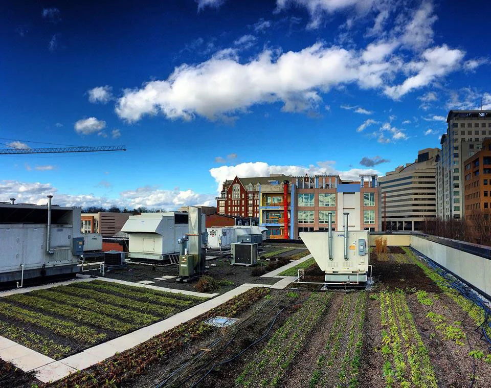 010418_uptop_acres.jpg