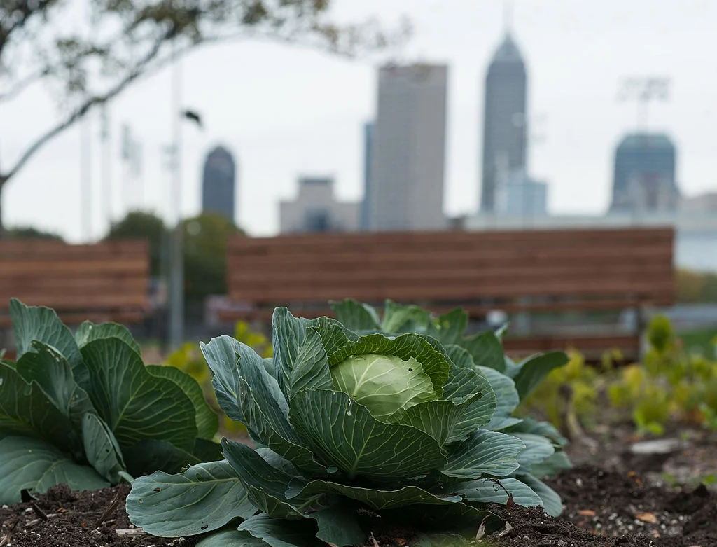 The Indiana University–Purdue University Indianapolis campus garden. Photo courtesy of Wikimedia Commons