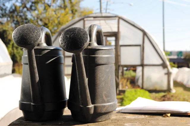 feature_urban_farming_watering_cans_JAY_PAUL_rp0118.jpg