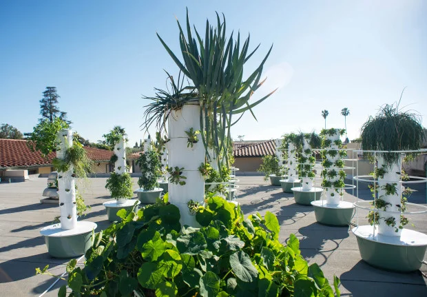 pas-l-roofgarden05-0113.jpg