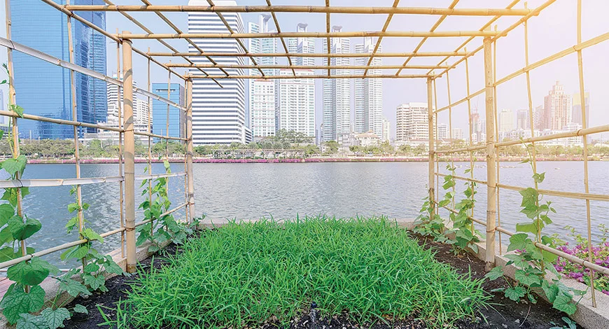 1516021178_3k4nxh_Urban-farming-shutterstock.jpg