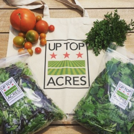 North Bethesda, Maryland's Pike & Rose Getting Big Rooftop Farm For Tenants