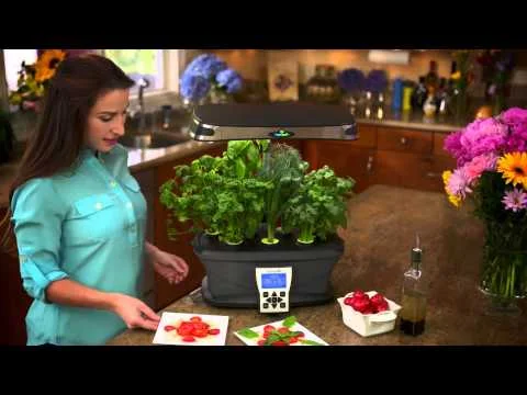 AeroGarden Commercial - The Extraordinary Soil-Free Indoor Garden (Copy)