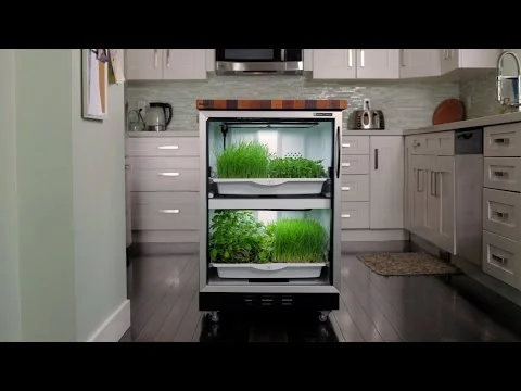 Urban Cultivator (Copy)