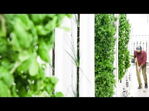 This Minnesota Indoor Vertical Farm Grows Fresh Produce 365 Days a Year (Copy)