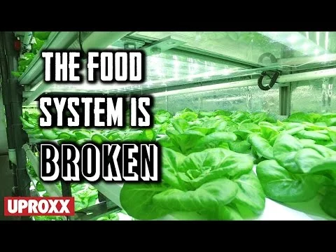 Local Roots, The Future of Farming | UPROXX Reports (Copy)