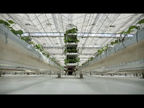 Rethink Farming | Pure Agro (Copy)