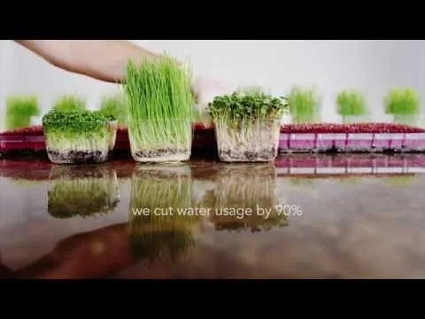Urban Produce | Organic Vertical Farming (Copy)