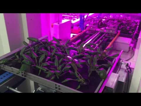 Urban Crop Solutions PlantFactory | robotization: crate exit (Copy)