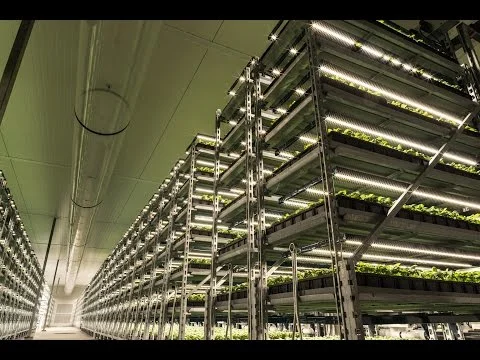 Largest Organic Herb Grower in U.S. Transforms with Fluence (Copy)