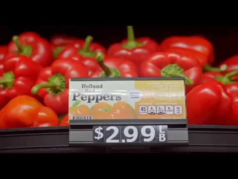 Backlight The Rise of Vertical Farming (Copy)