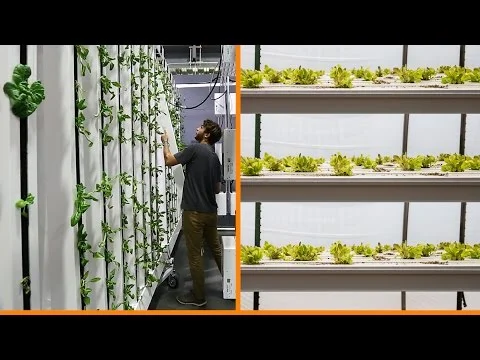 Vertical Farming: Horizontal Plane vs Vertical Plane Production (Copy)