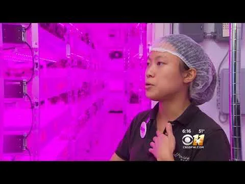 Introducing The Growtainer (Copy)