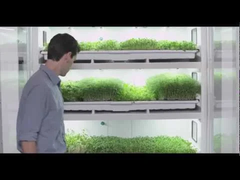 Chef Ned Bell Talks About The Commercial Cultivator (Copy)