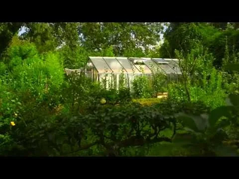 MYFOOD - Who are we ? (Copy)