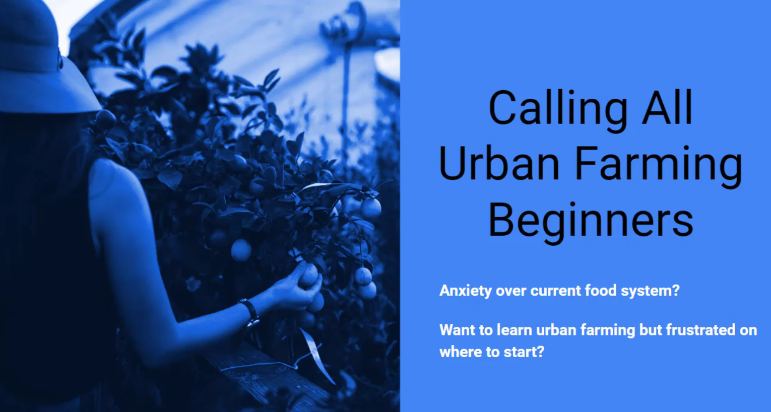 Calling All Urban Farming Beginners (Copy)