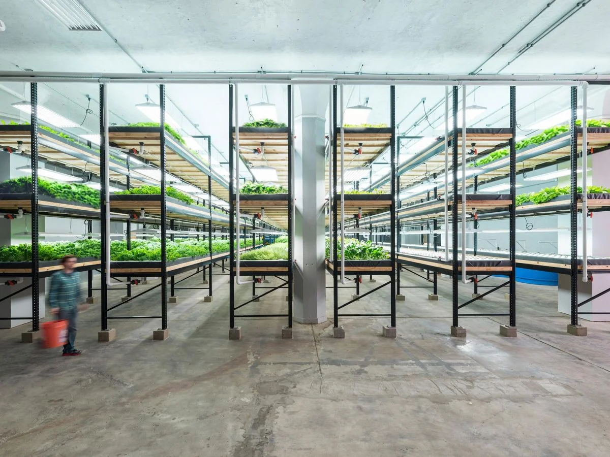 RENDERING VERTICAL FARM.jpeg