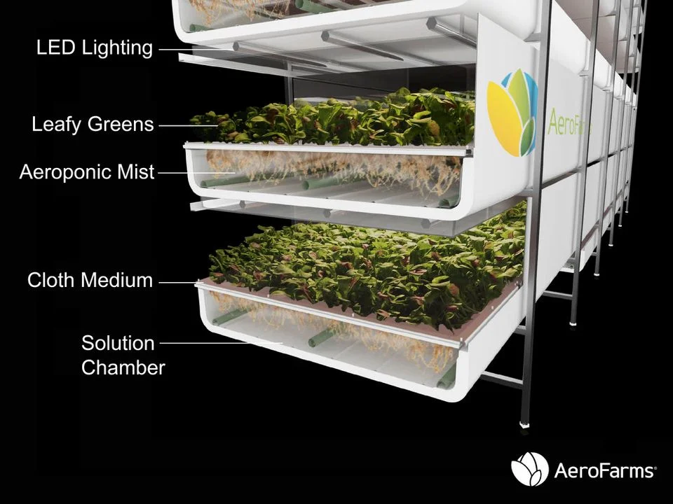 3bc_indoorfarm03.JPG