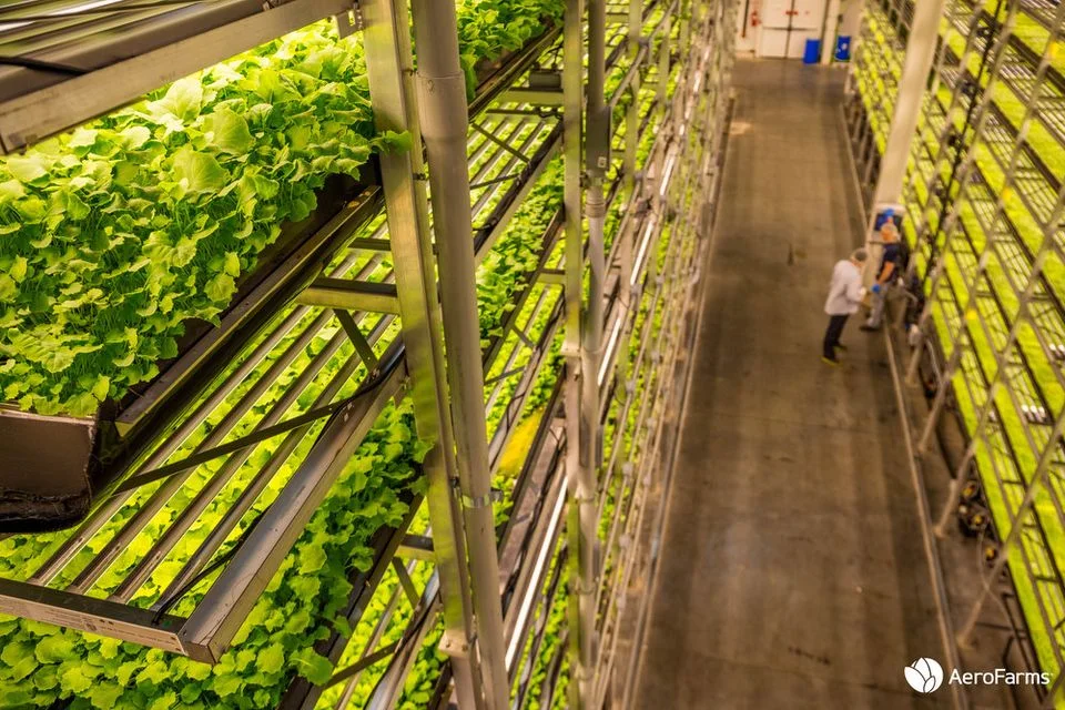 e72_indoorfarm02.JPG