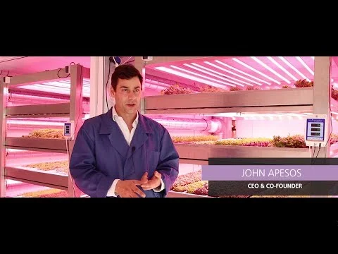 Vertical Farming, LEDs and the Flavor of Leafy Greens (GROWx Vertical Farm, Amsterdam) (Copy)