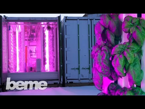 Kimbal Musk's Farm of the Future (Yes, Elon's brother) (Copy)