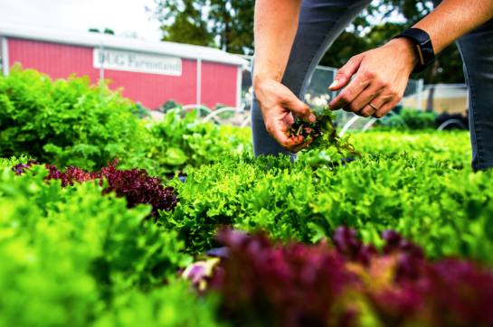 Screen Shot 2018-02-22 at 10.14.54 AM.png