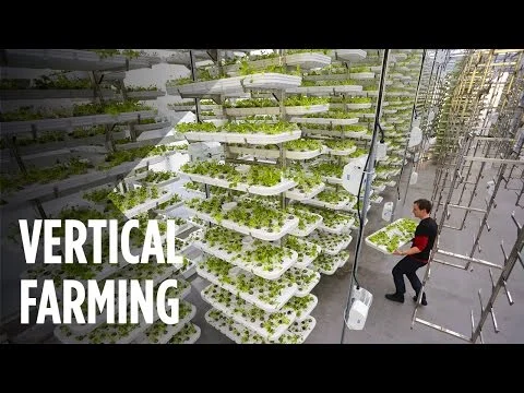 This Farm of the Future Uses No Soil and 95% Less Water (Copy)