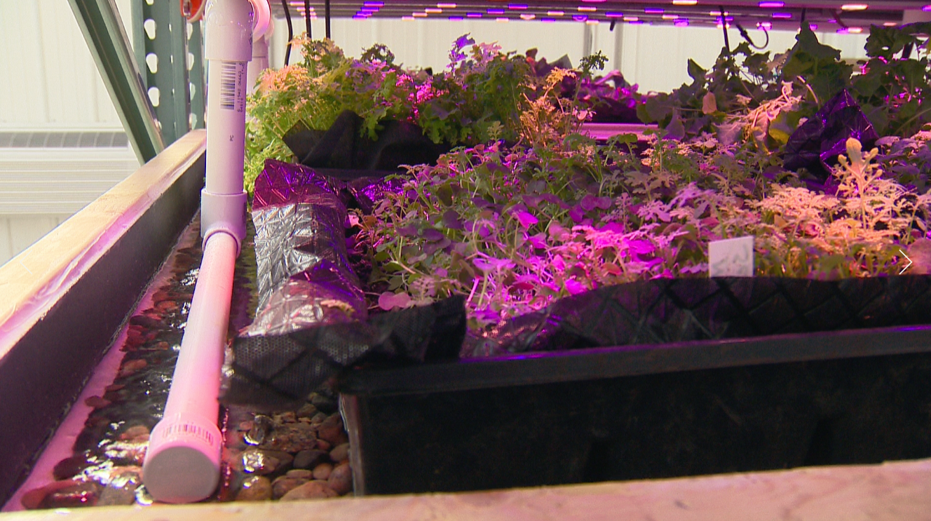 Screen Shot 2018-03-08 at 3.13.44 PM.png