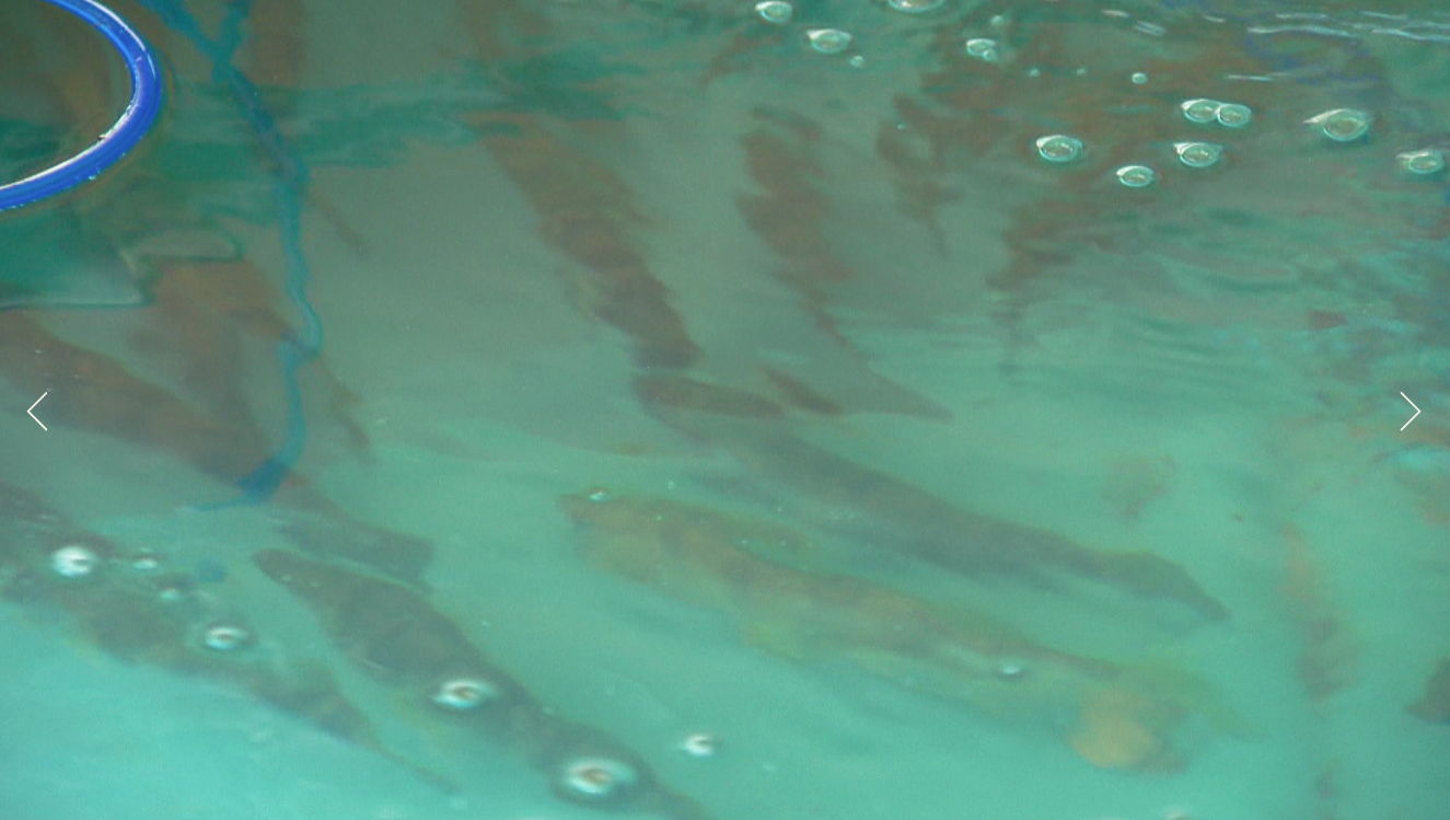 Screen Shot 2018-03-08 at 3.13.06 PM.png