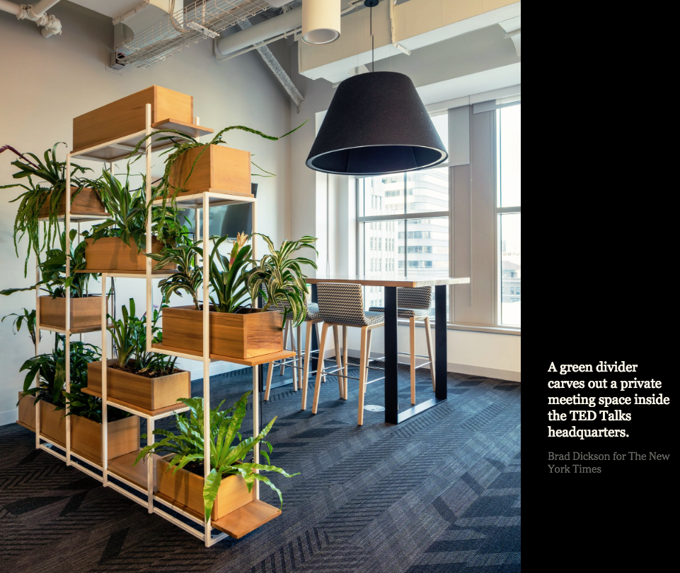 Screen Shot 2018-03-09 at 11.20.10 AM.png