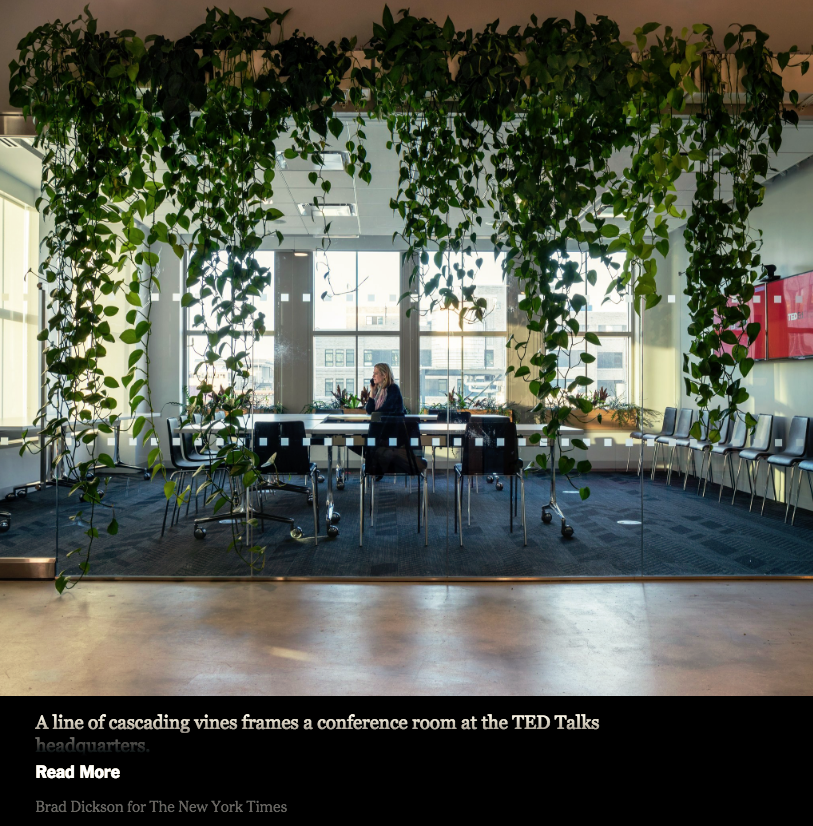 Screen Shot 2018-03-09 at 11.19.58 AM.png