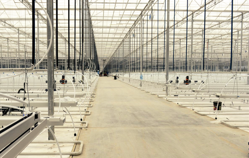 Screen Shot 2018-03-09 at 4.51.52 PM.png