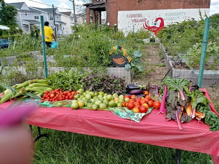 Produce from the Sankofa Village Community Garden. Photo courtesy Ayanna Jones.