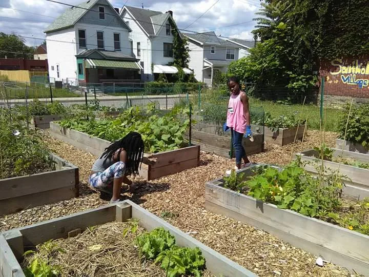 Sankofa Village Community Garden in North Point Breeze and Homewood South could benefit from the URA's urban agriculture pilot program. Photo courtesy Ayanna Jones.