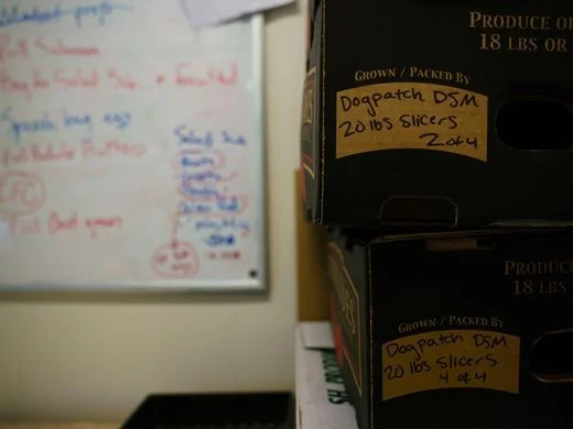 636361496640441039-170720-13-dogpatch-bp.jpg