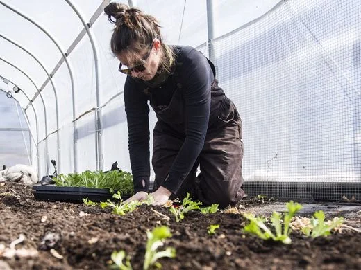 636561227848169597-0308-Dogpatch-01 (1).JPG