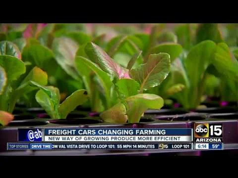 Freight cars are changing farming (Copy)